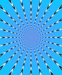 錯視アート "ガンガゼ" | Chosen by "Jeff Koons" for Lady Gaga Album(ポスター/アート)