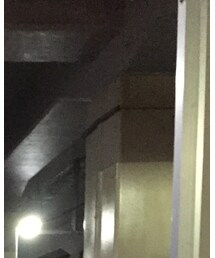 Reinhard Plank | ハット