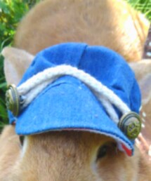 300ショップ | キャップ