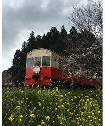 小湊鉄道 | その他