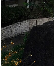 水泳帰り。 | その他