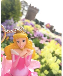 東京ディズニーランド | その他