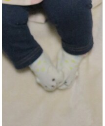 BRANSHES | ソックス/靴下