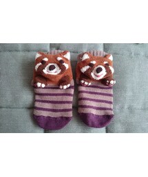 pompkins BABY | レッサーパンダソックス(ソックス/靴下)