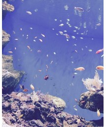 杜のうみ水族館 | その他