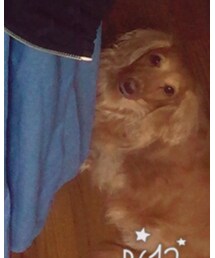 うちの子 | その他