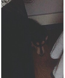 うちの子 | その他