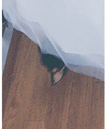 うちの子 | その他