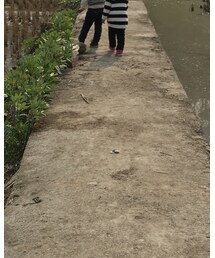 ZARA | ワンピース