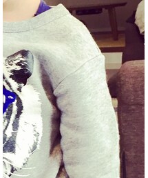 WASK | スウェット