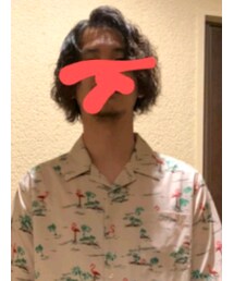 GLOSTER | シャツ/ブラウス