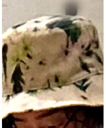 CIAOPANICTYPY | ハット