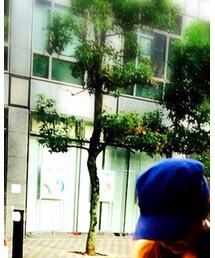 GLOBAL WORK | 帽子