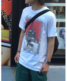 STUSSY | Tシャツ/カットソー