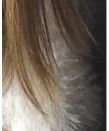 pool studio | ニット/セーター