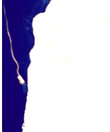 Alpha Industries | ジャケット/アウター