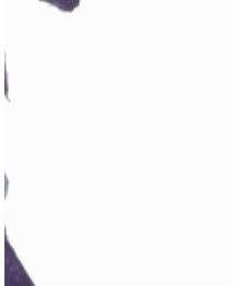 CHANEL | ネックレス