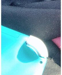 任天堂Switch light | アクセサリー