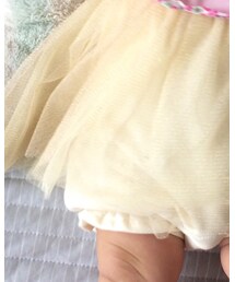 アプレーレ ル クール | ワンピース