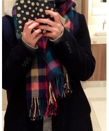 不明 | マフラー