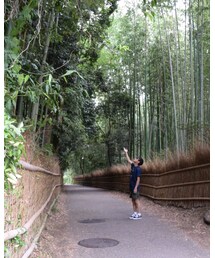 ソフトクリーム | 福袋/福箱