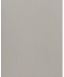 ADAM ET ROPE' | パンプス