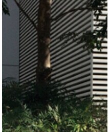 ADAM ET ROPE' | トップス