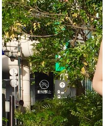 ADAM ET ROPE' | トップス