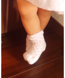 Birthday | ソックス/靴下