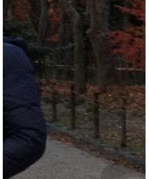 NANO universe | ダウンジャケット/コート