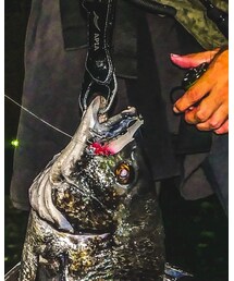 BlueBlueFishing | スポーツグッズ