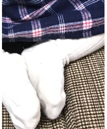 condor | タイツ/ストッキング