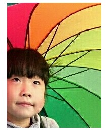 FLYING TIGERS | その他