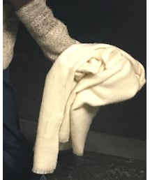 COLONY 2139 | マフラー