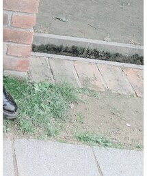 Dr. Martens | シューズ