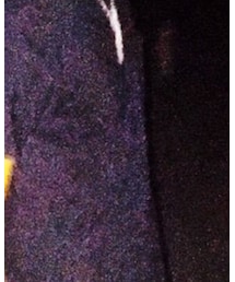 HANES | Tシャツ/カットソー