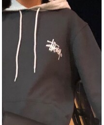 STUSSY | パーカー