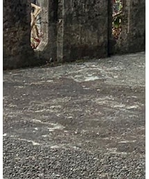 MUJI Labo | カーゴパンツ