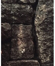 懶得寫 🐒 | その他