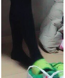 カエル | その他シューズ