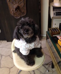 no brand | ティアラちゃんのモコモコ冬コーデ(その他)