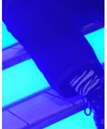 WEGO | ソックス/靴下