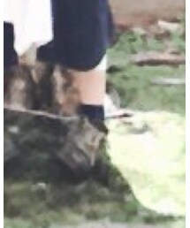 tutuanna | ソックス/靴下