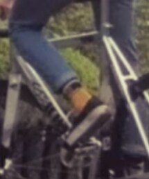 VANS | ソックス/靴下