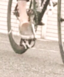 VANS | スリッポン