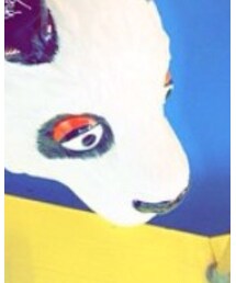 panda | その他