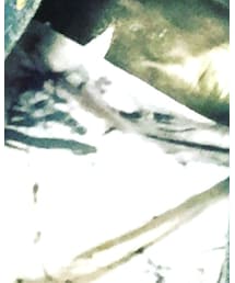 no brand | Tシャツ/カットソー