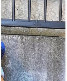 しまむら | ニットキャップ/ビーニー