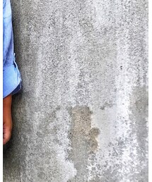 ZARA | Tシャツ/カットソー