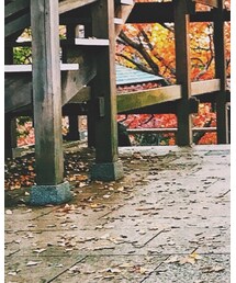 ZARA | デニムジャケット